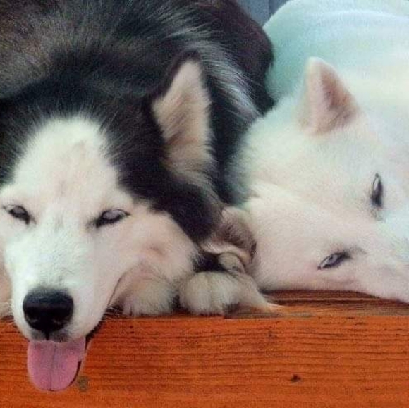 Meet your Posher, Michele π - Picture 8 of 16